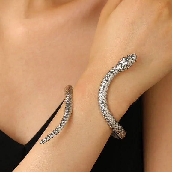 Ophidia Serpent Bracelet and Ring Set