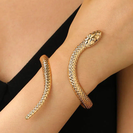 Ophidia Serpent Bracelet and Ring Set